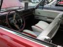 Photo Number 107
